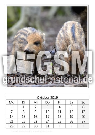 Oktober_Frischling.pdf